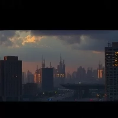 《玄鸟归处》封面：玄鸟剪影掠过暮色天空